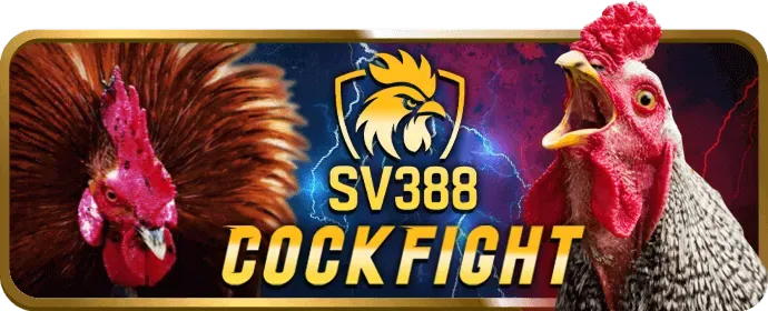 Game bài m8win casino trực tiếp đổi thưởng