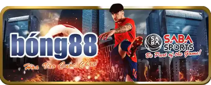 Cá cược bóng đá m8win thể thao đỉnh cao